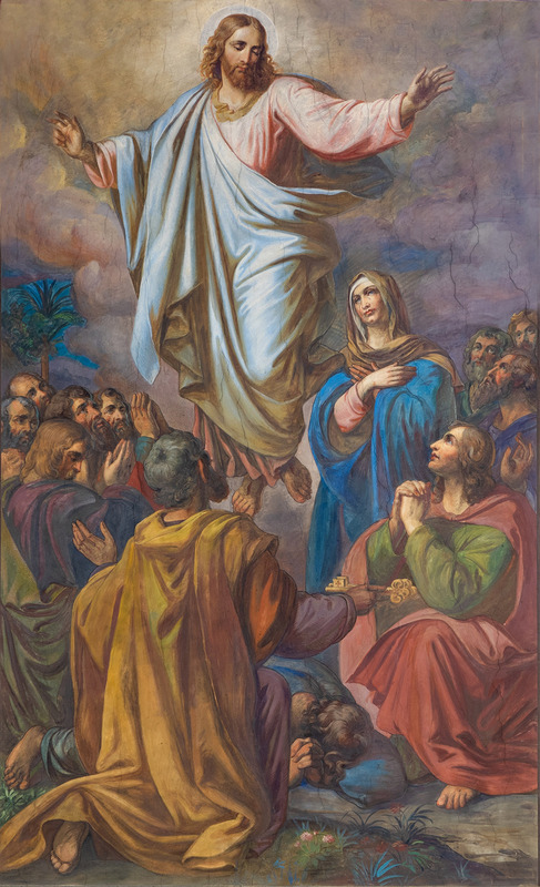 Erzdiözese Wien/ Stephan Schönlaub, Stephan Schönlaub